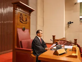 speaker-chamber-chair